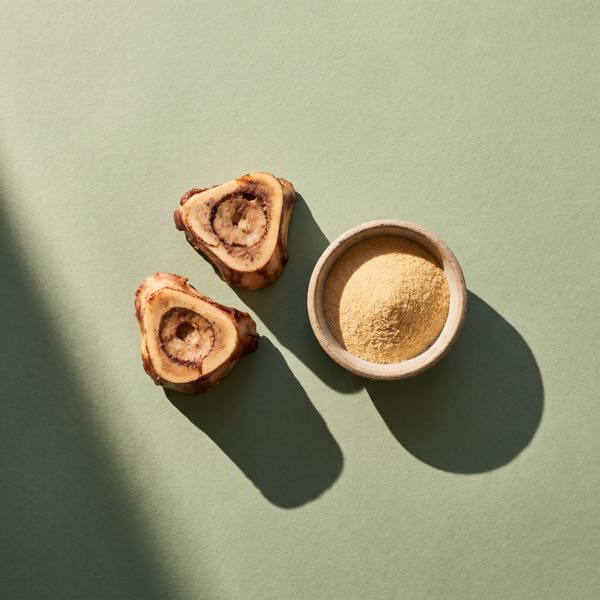 Two cross-cut marrow bones beside a small stoneware dish of light-brown bone broth powder, on a sage-green background.