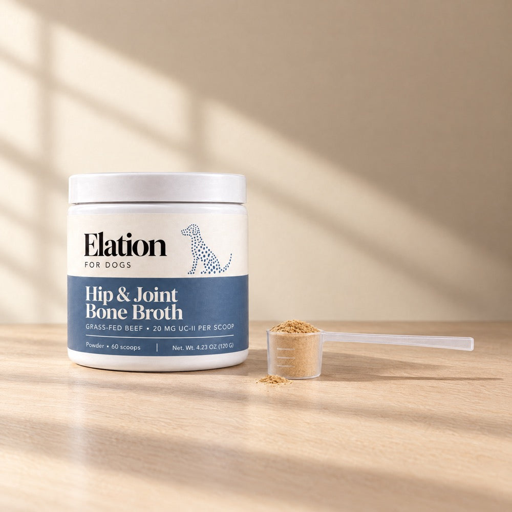 The Elation Hip & Joint Bone Broth jar on a pale oak table with its small clear 2 g scoop of cream-colored powder.